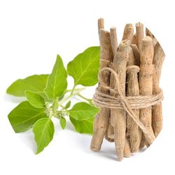 Wildfora — Whole Herbs Collection  Pure, whole botanicals from the wild forests. The Wildfora Whole Herbs Collection features whole roots, sticks, seeds, pods and leaves 