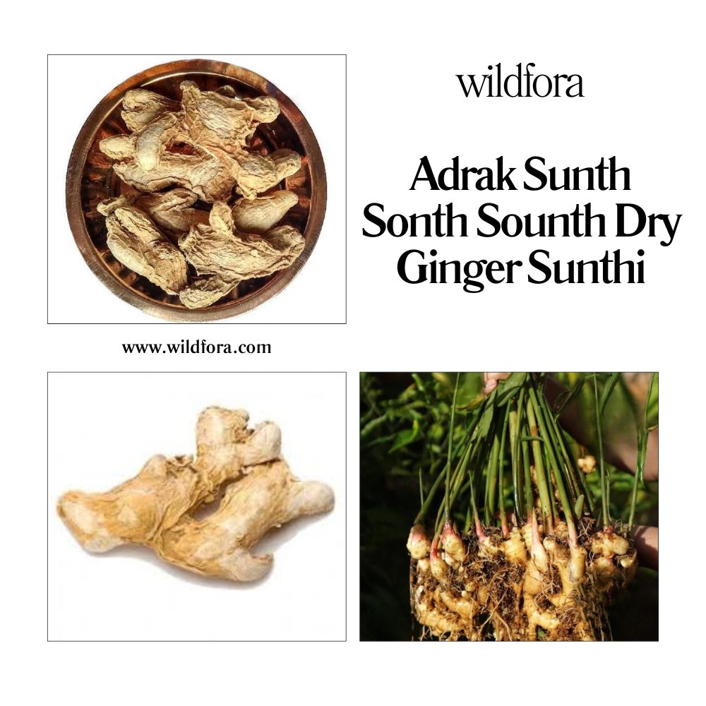 Adrak Sunth Sonth Dry Ginger Sunthi, Wildfora Adrak Sunth, Wildfora Dry Ginger, Dry Ginger Powder, herbal ginger powder, natural ginger powder, wild forest ginger, Sunth powder, Sonth powder