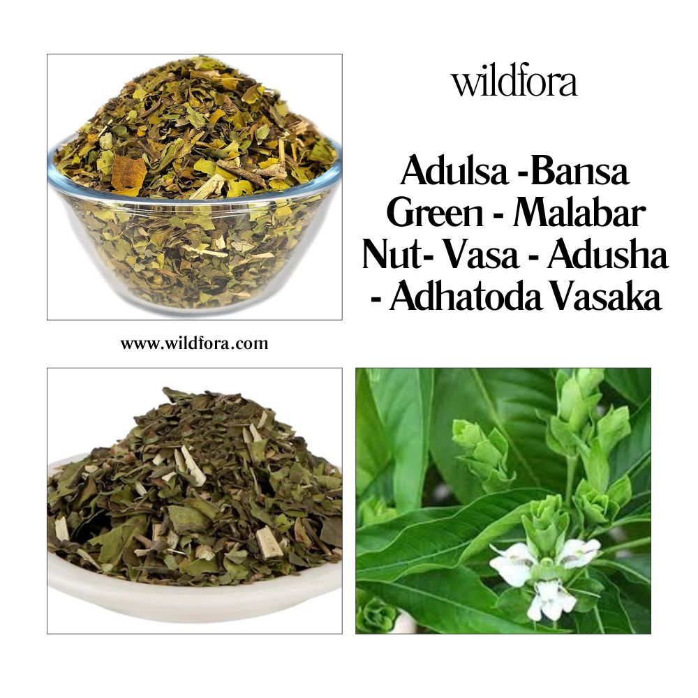 Adulsa Powder / Bansa / Malabar Nut / Vasa / Adusha / Adhatoda Vasaka
